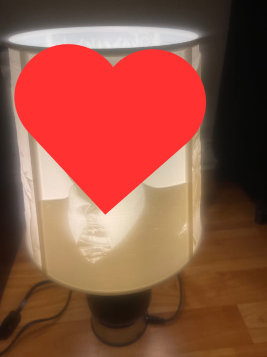 3D Printed Custom Lamp Shade 3D Printed Custom Lamp Shade